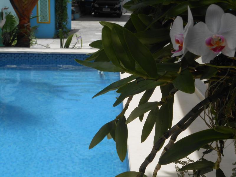 Porto Bahia Hotel - image 38