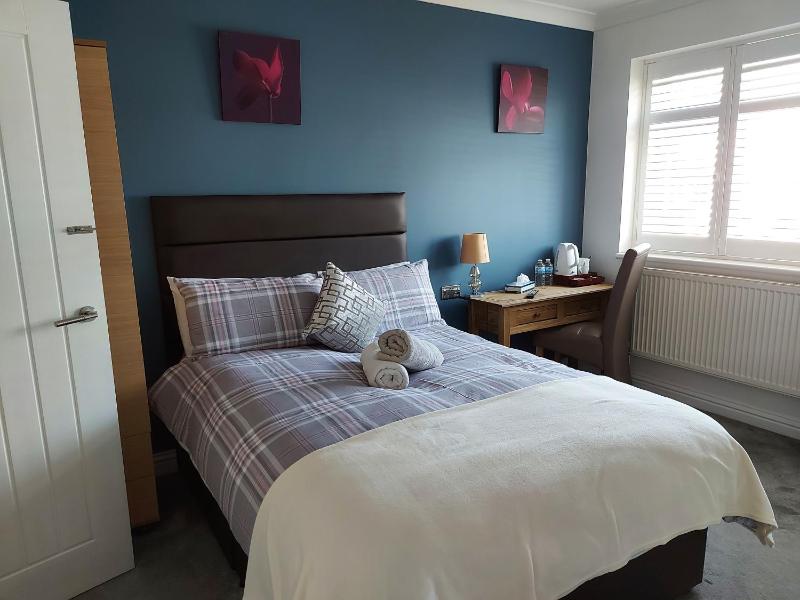 Deluxe Double Room image 1