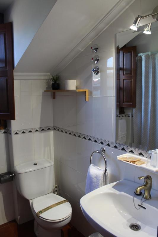 Penthouse Apartment image 4