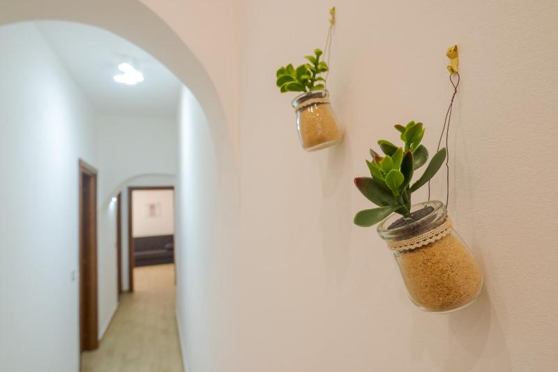 Barraco's House - image 18