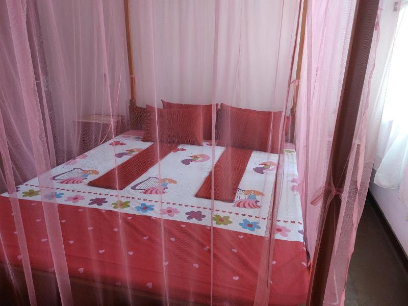 Dolphin Villa - image 40