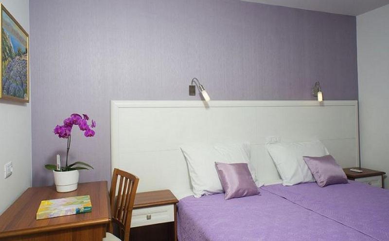 Double or Twin Room with Balcony and Sea View image 4
