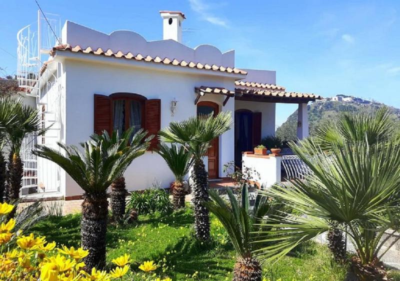 Holiday Apartments - image 1