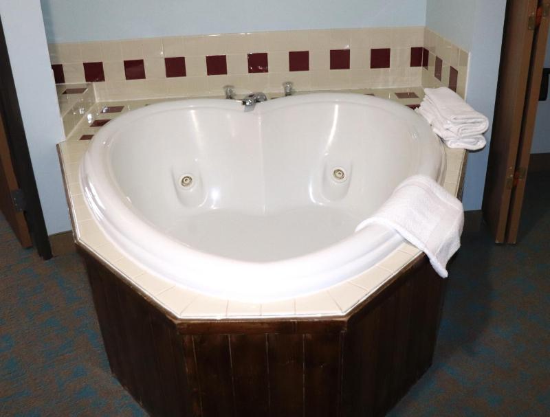Deluxe Single King Suite with Spa Bath  No Pets Allowed image 3