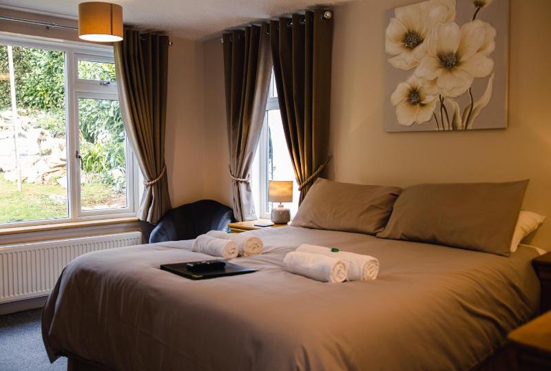 Deluxe Double Room image 4
