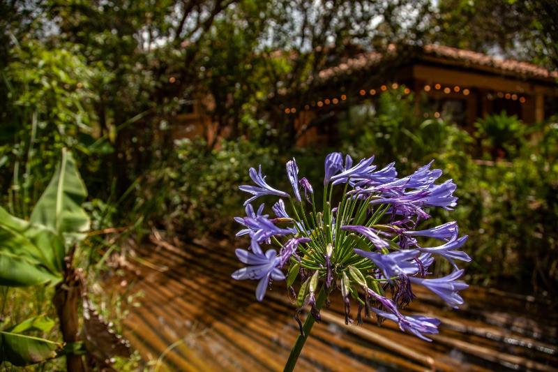 Clavellino House en Villa de Leyva - Tranquilidad y Naturaleza en Reserva Natural Urbana! - image 12