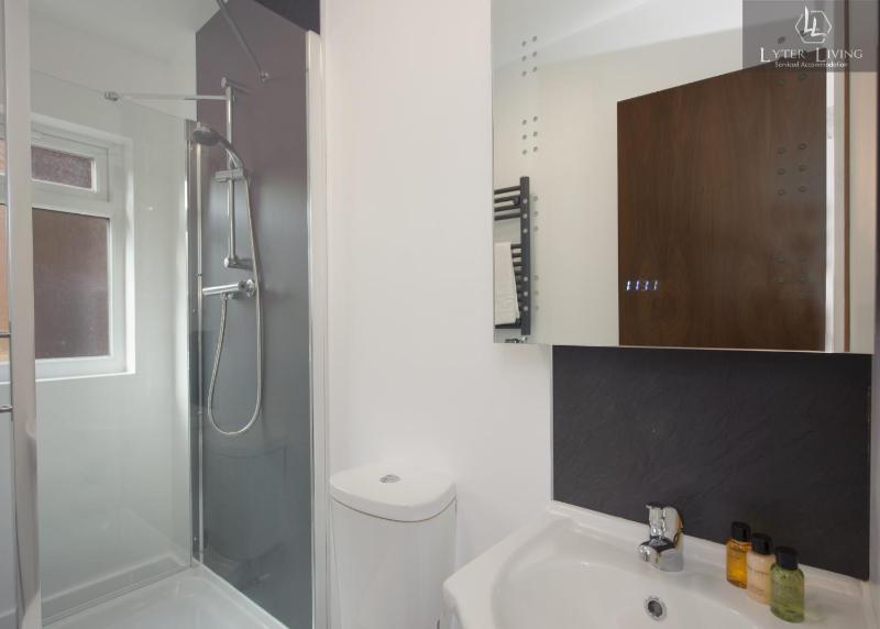 Studio Apartments by Lyter Living Desks & Wifi - Monthly Stays Available - image 34