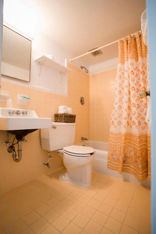 Deluxe One-Bedroom Suite (4 adults + 2 children) image 4