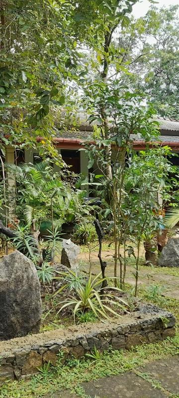 Sigiri Jungle Villa - image 14
