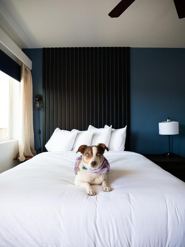 King Room image 1