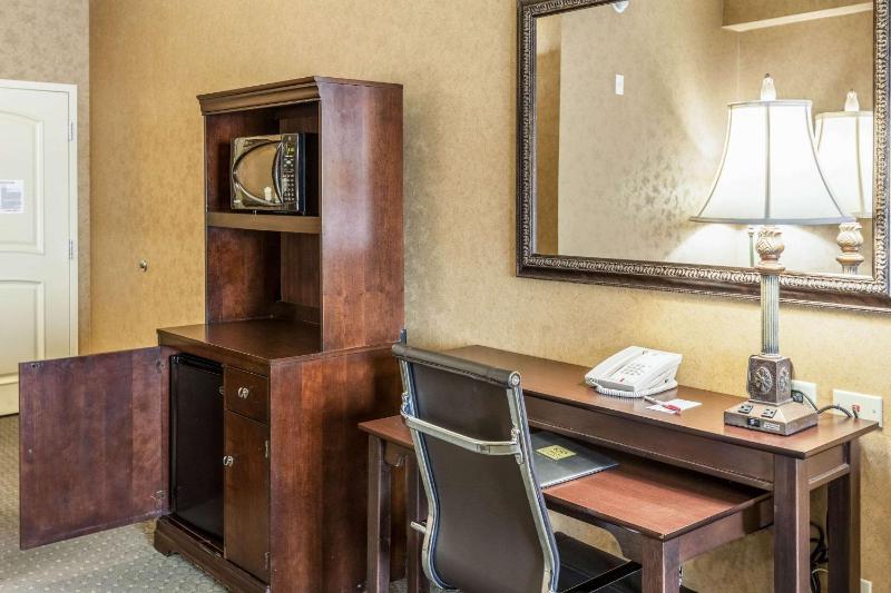 Comfort Suites Alamo/River walk - image 11