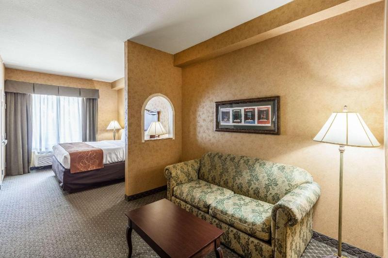 Comfort Suites Alamo/River walk - image 18