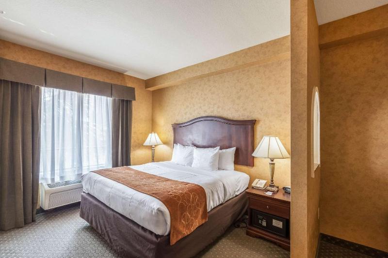 Comfort Suites Alamo/River walk - image 28