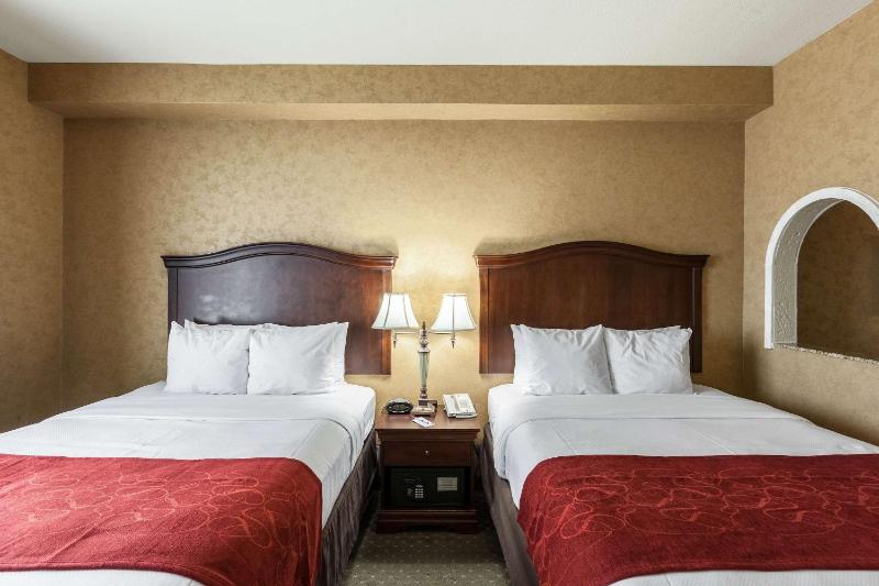 Comfort Suites Alamo/River walk - image 5