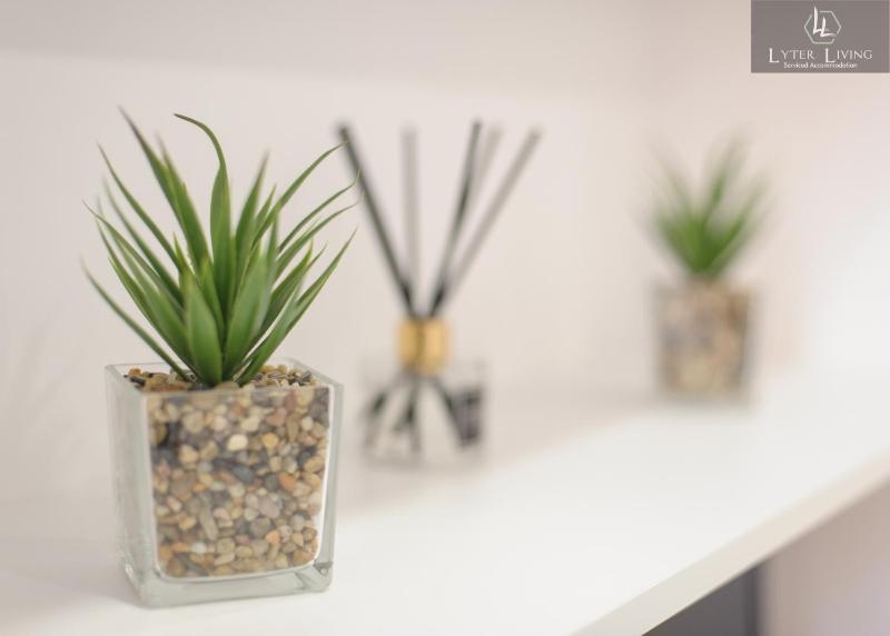 Studio Apartments by Lyter Living Desks & Wifi - Monthly Stays Available - image 25