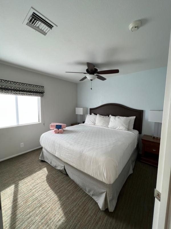 One-Bedroom Apartment image 4