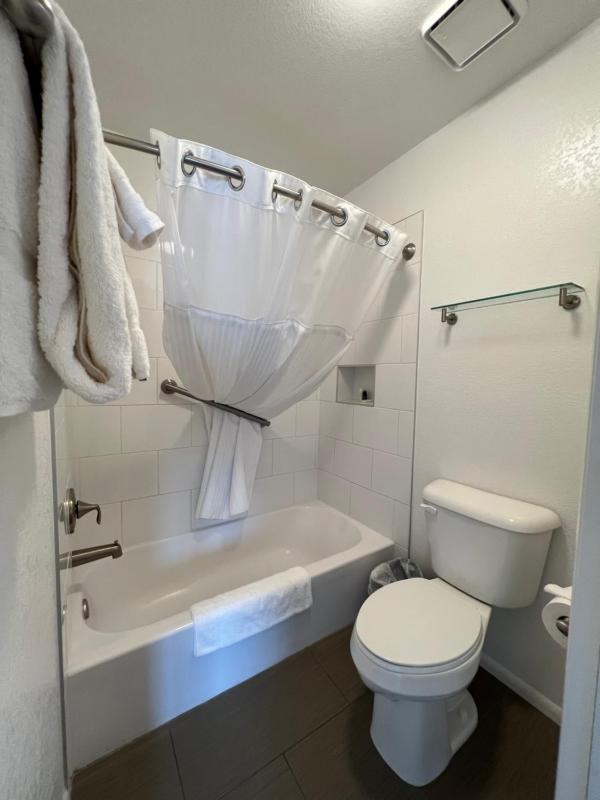 Two-Bedroom Apartment image 4