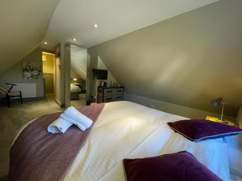 Deluxe Double or Twin Room with Shower image 4