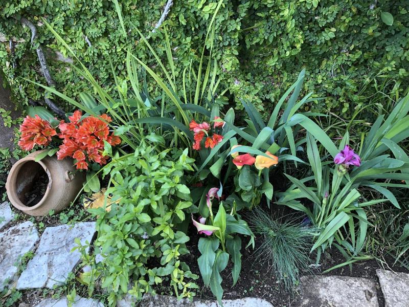 Double or Twin Room image 4