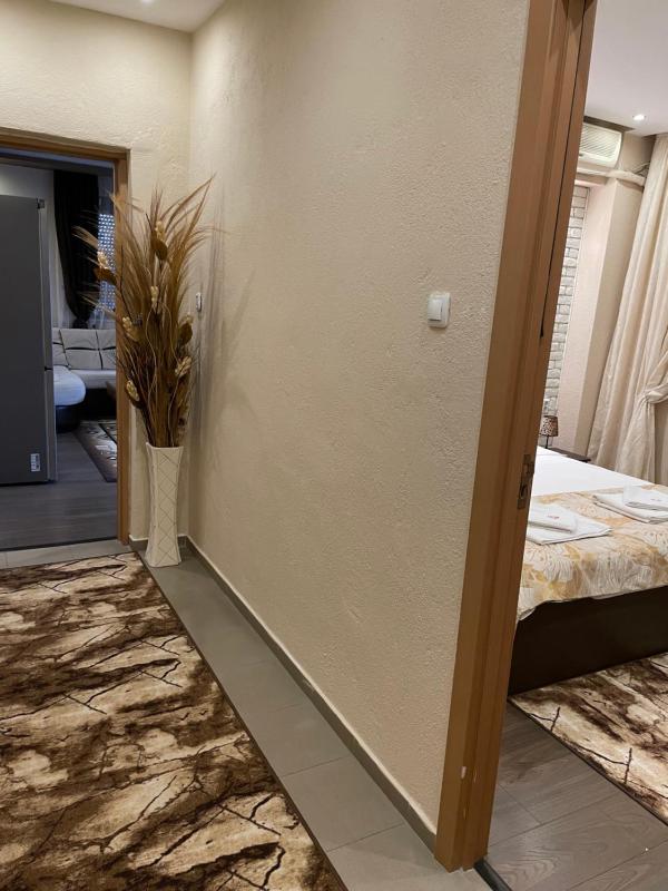 One-Bedroom Apartment image 3