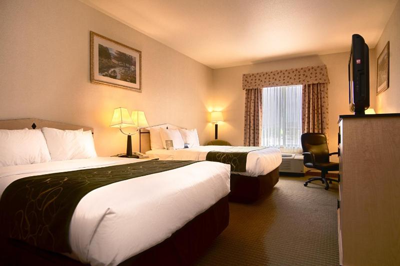 Queen Room with Two Queen Beds - Non-Smoking image 2