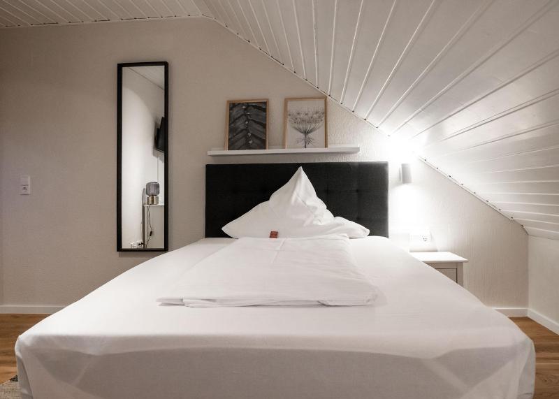 Comfort Single Room with Shower image 4