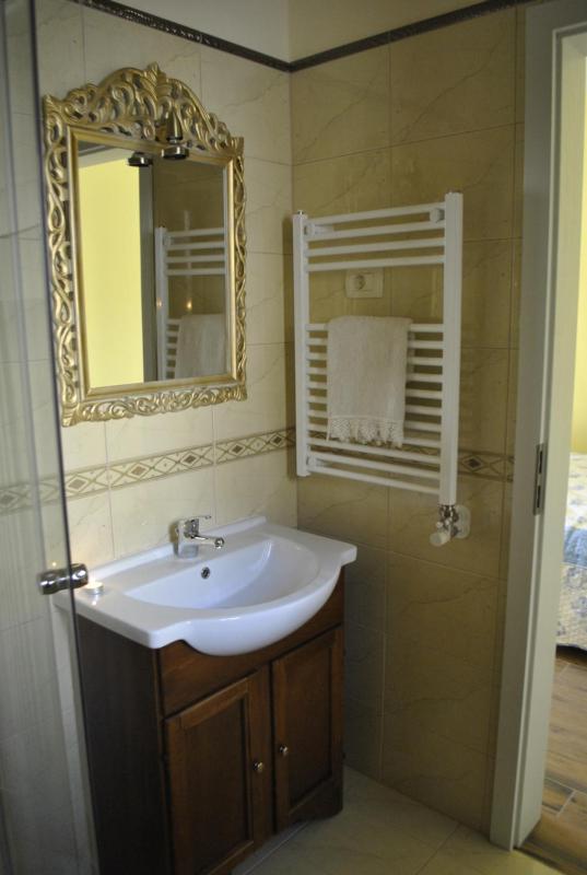 Deluxe Double Room image 4