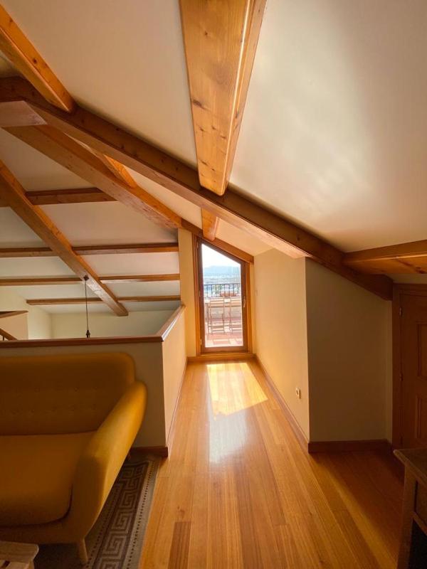 Studio with Terrace image 4