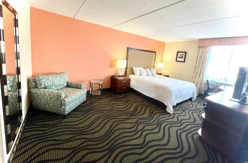 Deluxe King Suite image 3