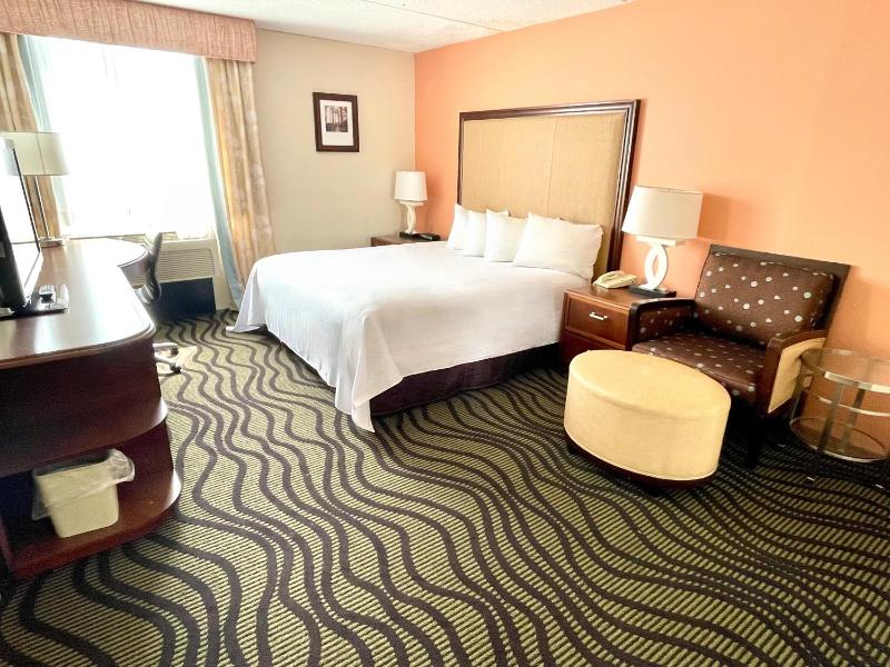 Deluxe King Suite image 1