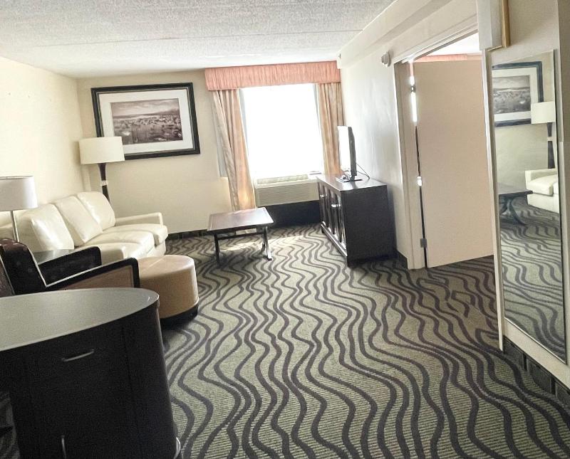 King Suite Non-Smoking image 3