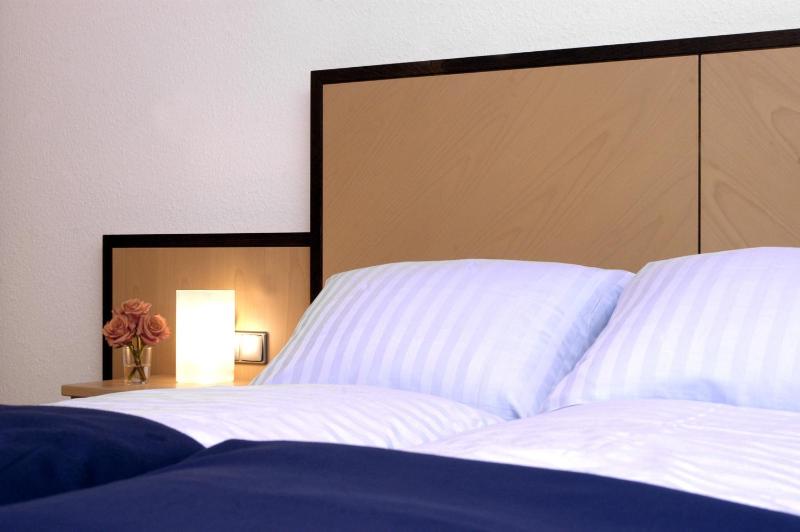 Standard 1-Bedroom Apartment image 3
