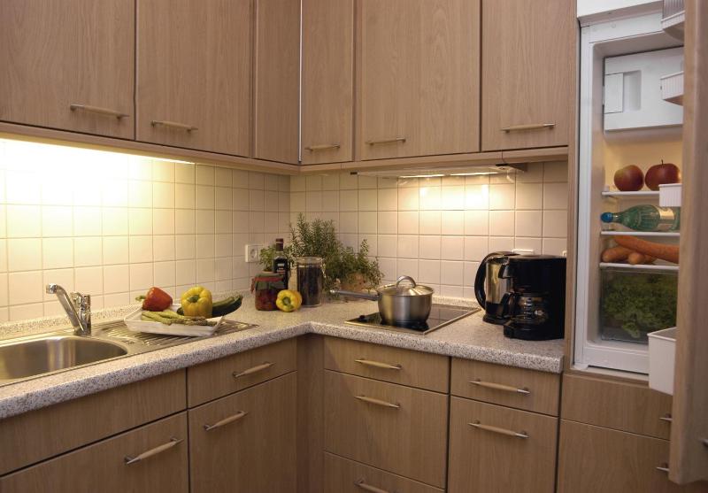 Standard 1-Bedroom Apartment image 4
