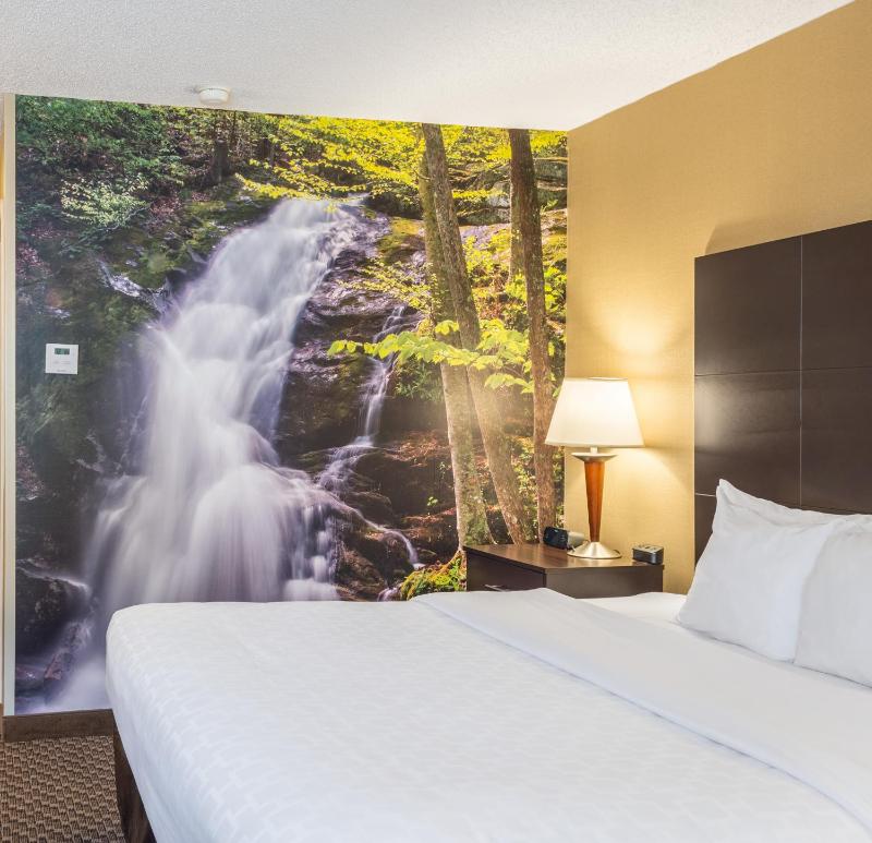 King Room - Accessible/Non-Smoking image 2