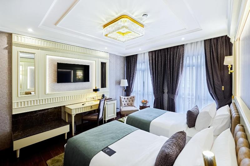Deluxe Twin Room image 4