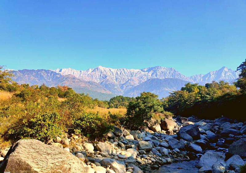 Dev Bhoomi Farms & Cottages - image 22