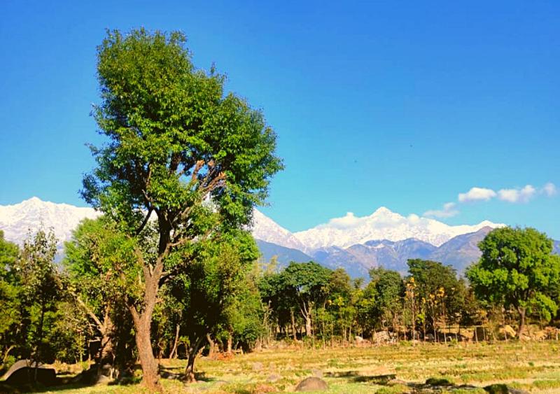 Dev Bhoomi Farms & Cottages - image 6