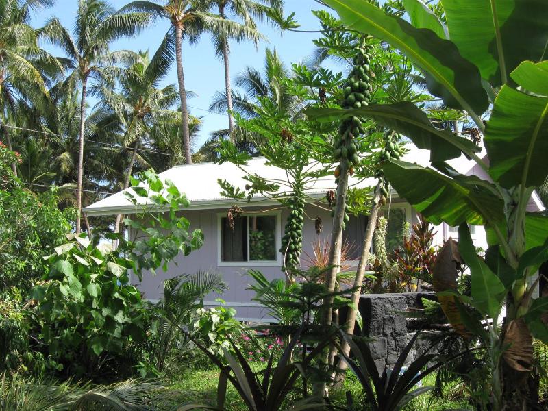 One-Bedroom Chalet image 1
