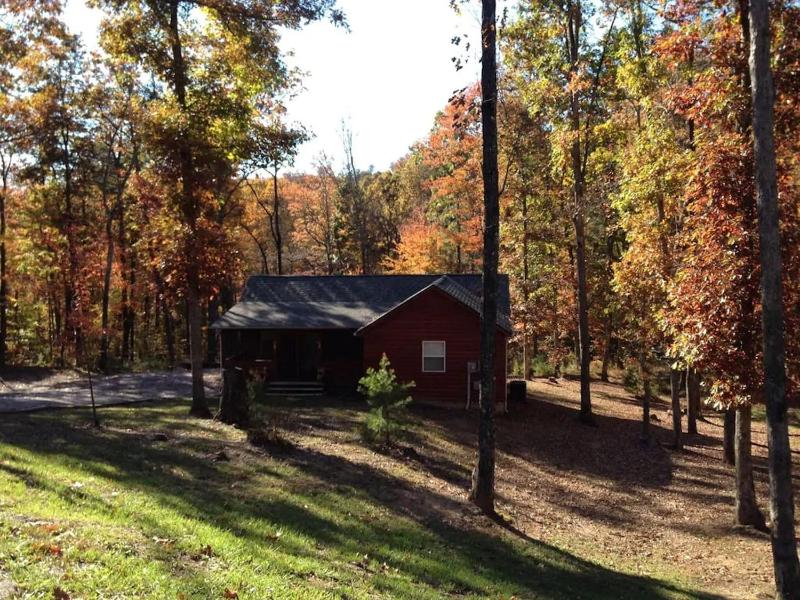 Gas fireplace and a great firepit with cedar adirondack chairs! Images