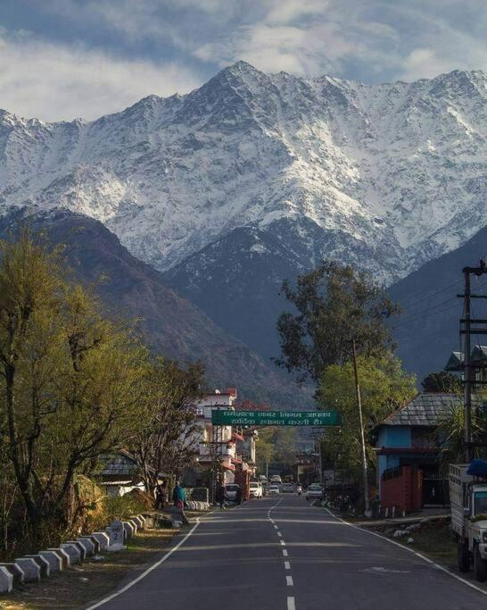 Aromataruvilla/ cottage manali - image 49