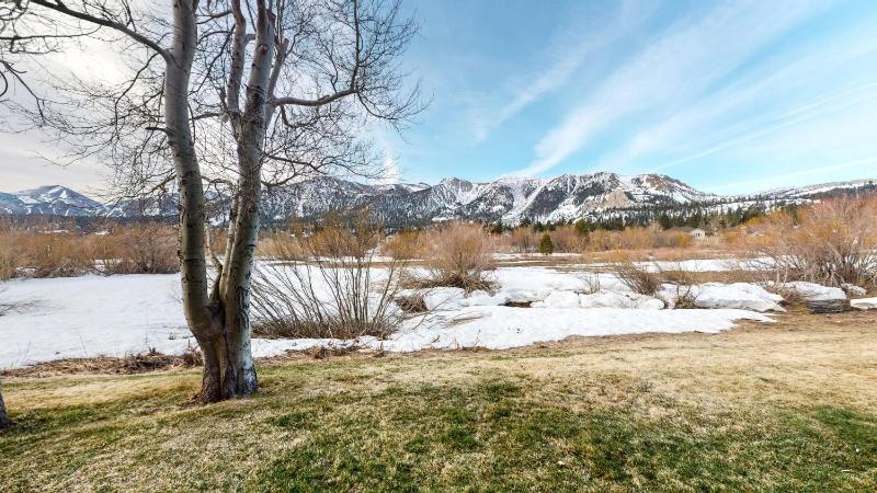 Snowcreek Iii #420 Condo - image 39