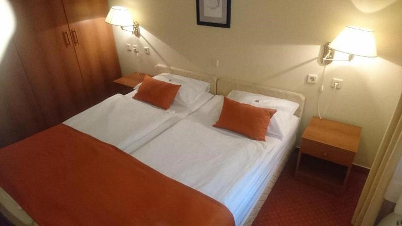 Hotel Vila Ružica- glavna zgrada i depandanse - image 49