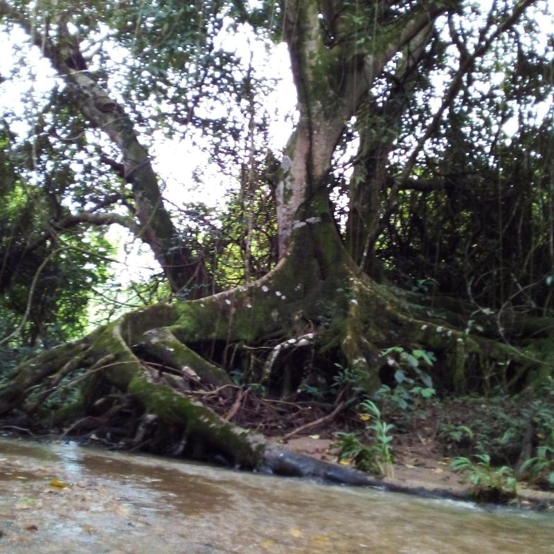Recanto São Francisco de Assis - image 23