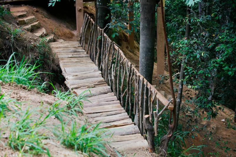 ELLA Eco Lodge Wellness & Yoga retreat - image 18