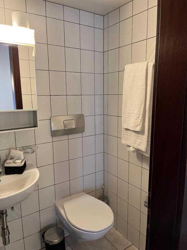 Standard Twin Room image 2