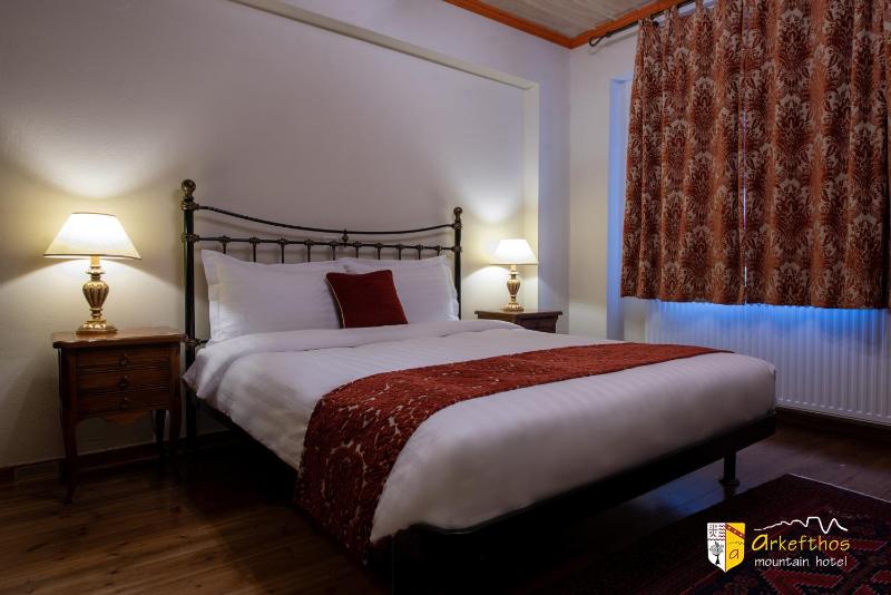 Standard Double Room image 3