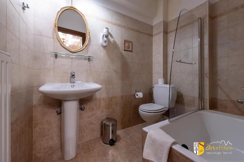 Standard Double Room image 2