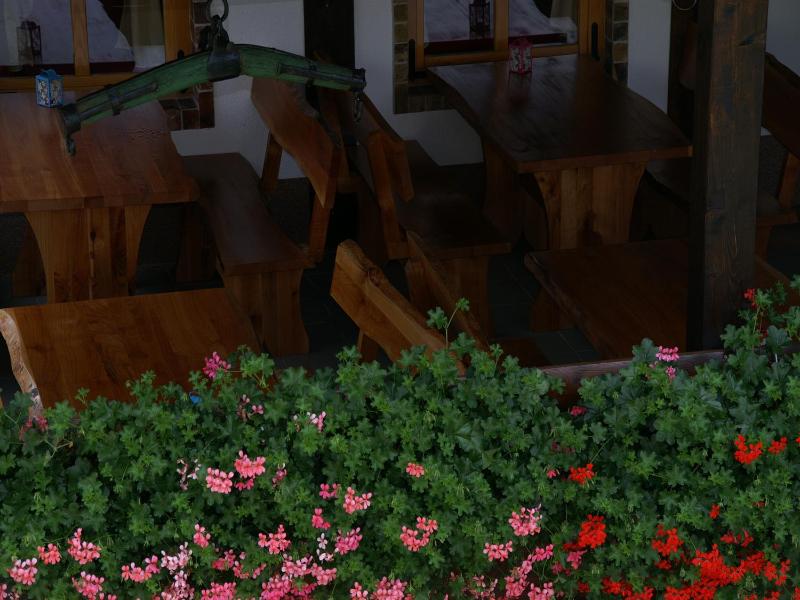 One-Bedroom House with Terrace image 3