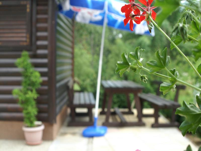 Budget Room with Terrace image 1