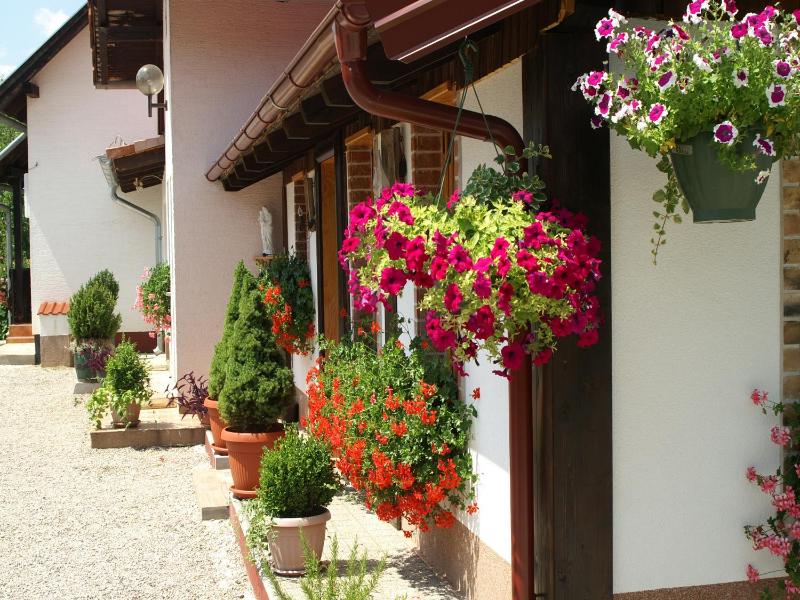 Duplex Three Bedroom Apartment with Balcony image 2